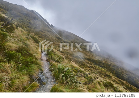 Mountain hiking trail on Routeburn track Mountain hiking trail on Routeburn track 113765109
