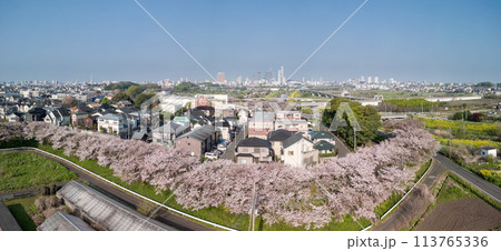 空撮「埼玉県」ドローンで見沼田んぼを撮影 桜回廊 空撮「埼玉県」ドローンで見沼田んぼを撮影 桜回廊 113765336
