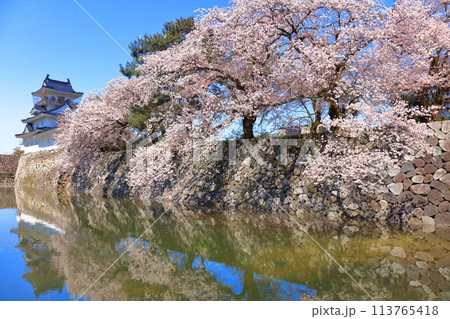 【富山県】シンメトリーな富山城天守閣と満開の桜 113765418