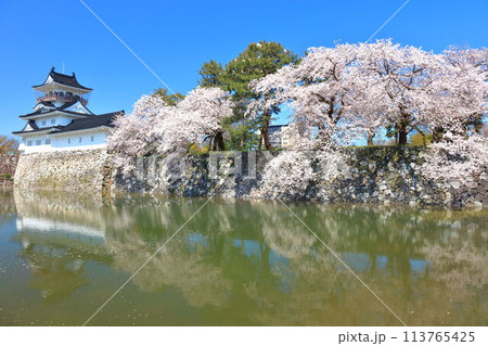 【富山県】シンメトリーな富山城天守閣と満開の桜 113765425
