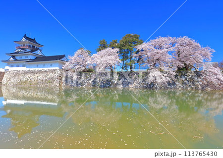 【富山県】シンメトリーな富山城天守閣と満開の桜 【富山県】シンメトリーな富山城天守閣と満開の桜 113765430