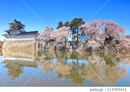 【富山県】シンメトリーな富山城天守閣と満開の桜 【富山県】シンメトリーな富山城天守閣と満開の桜 113765431