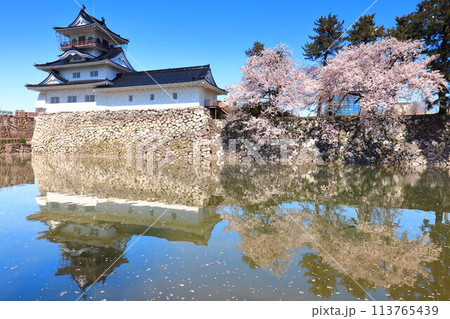 【富山県】シンメトリーな富山城天守閣と満開の桜 113765439