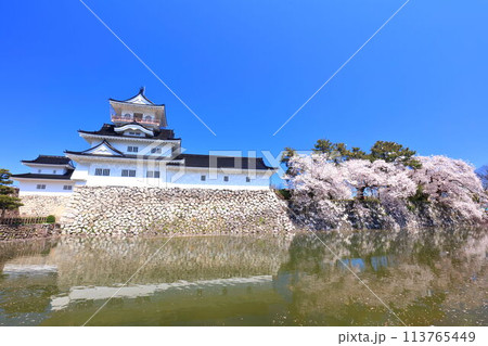 【富山県】シンメトリーな富山城天守閣と満開の桜 113765449
