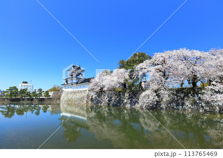 【富山県】シンメトリーな富山城天守閣と満開の桜 113765469