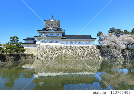 【富山県】シンメトリーな富山城天守閣と満開の桜 113765492