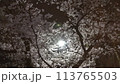 夜桜と街灯 113765503