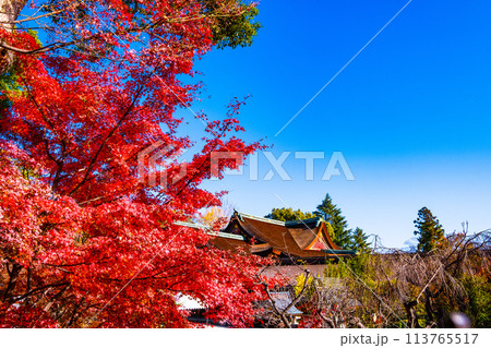 京都 北野天満宮の紅葉 113765517