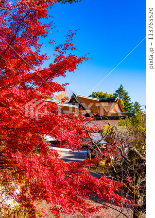 京都 北野天満宮の紅葉 113765520