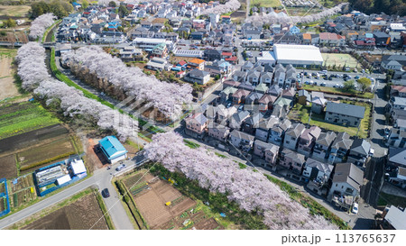 空撮「埼玉県」ドローンで見沼田んぼを撮影 桜回廊 空撮「埼玉県」ドローンで見沼田んぼを撮影 桜回廊 113765637