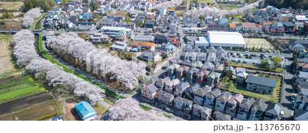 空撮「埼玉県」ドローンで見沼田んぼを撮影　桜回廊 113765670