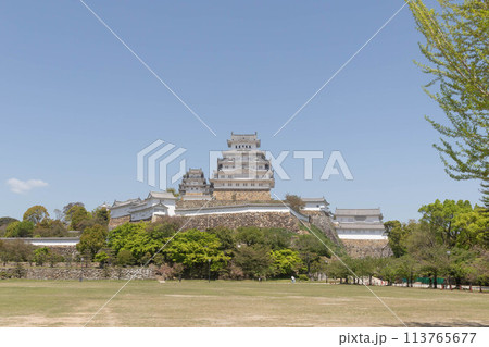 姫路城-15 113765677