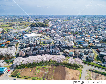 空撮「埼玉県」ドローンで見沼田んぼを撮影 桜回廊 空撮「埼玉県」ドローンで見沼田んぼを撮影 桜回廊 113765708