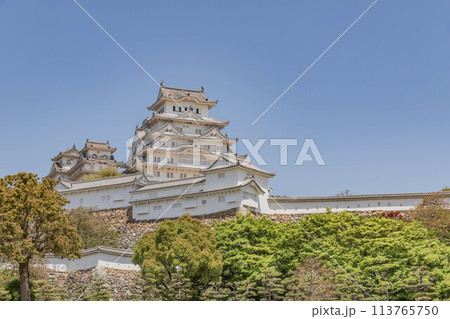 姫路城-22 113765750