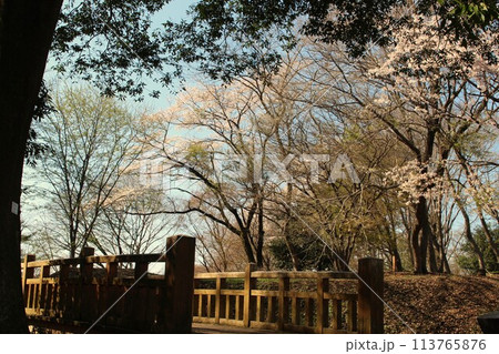 勝山城 勝山城 113765876