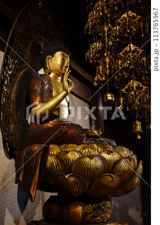 妙圓寺 妙圓寺 113765967