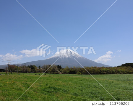 春の富士山、朝霧さわやかパ＾キングからの風景 113766205