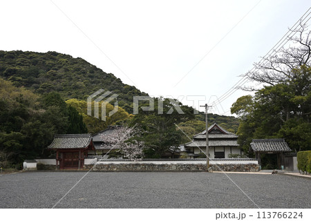普賢寺の山門を右に、左に桜咲く赤門(山口県光市) 普賢寺の山門を右に、左に桜咲く赤門(山口県光市) 113766224