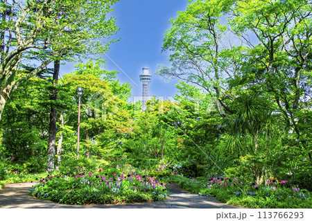 横浜市 港の見える丘公園 フランス山地区 横浜市 港の見える丘公園 フランス山地区 113766293