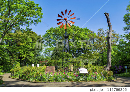 横浜市　港の見える丘公園　旧フランス領事館公邸遺構 113766296
