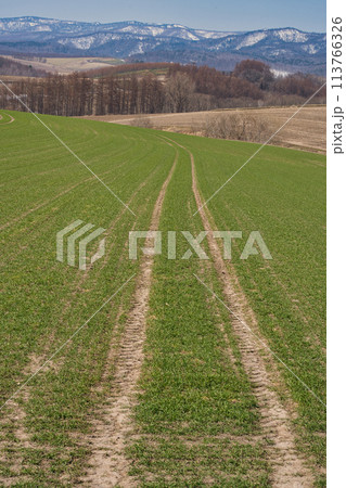 トラクターの跡 トラクターの跡 113766326