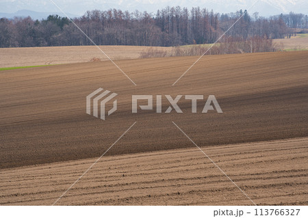 畑の模様 畑の模様 113766327
