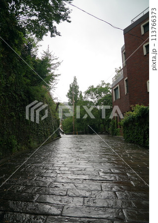 雨のオランダ坂 雨のオランダ坂 113766373