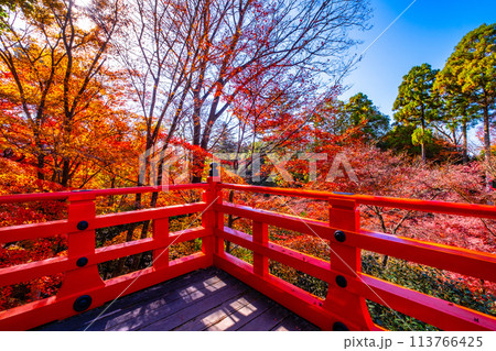 京都 北野天満宮の紅葉 113766425