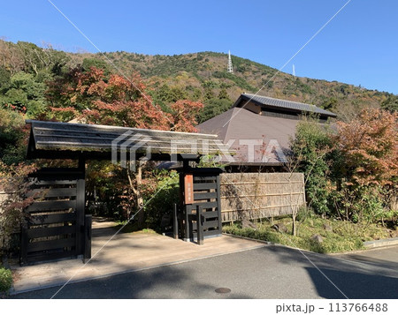 紅葉に包まれた箱根温泉 113766488