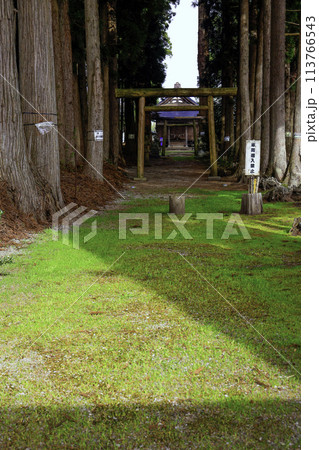 水神社参道（縦） 113766543