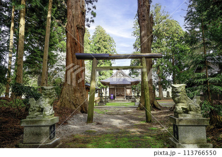 狛犬と鳥居越しの水神社拝殿 狛犬と鳥居越しの水神社拝殿 113766550