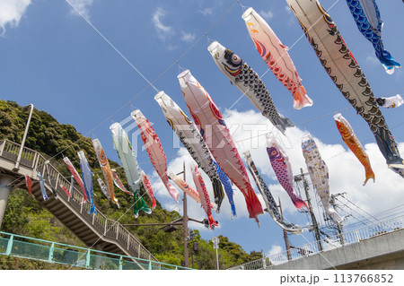 浦上川の学び舎橋の鯉のぼり01 113766852