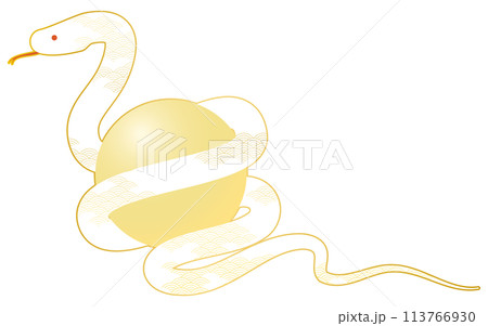 2025年巳年の年賀状素材、宝珠を抱く蛇 113766930