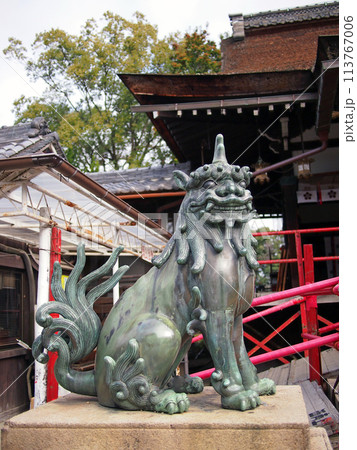 道明寺天満宮の狛犬 道明寺天満宮の狛犬 113767006