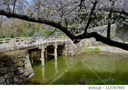 春の松江城千鳥橋付近 113767665