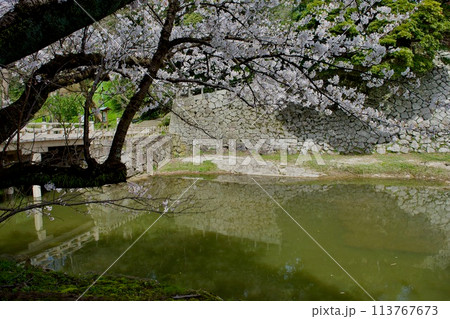 春の松江城千鳥橋付近 春の松江城千鳥橋付近 113767673