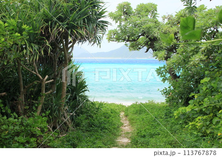 海へ続く道　阿真ビーチ　沖縄の海 113767878