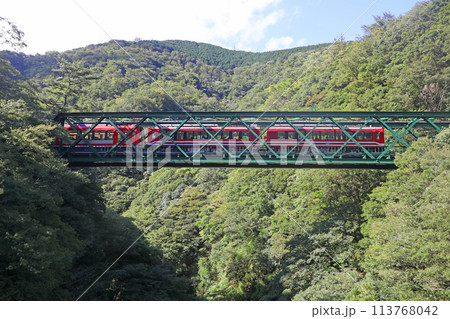出山の鉄橋を渡る車両 出山の鉄橋を渡る車両 113768042
