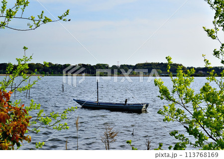 千葉県　葉桜となった手賀沼遊歩道からの風景 113768169