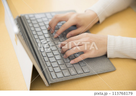 自宅でパソコン作業をする若い女性の手元 自宅でパソコン作業をする若い女性の手元 113768179