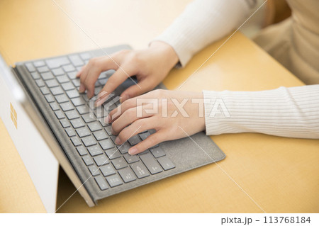 自宅でパソコン作業をする若い女性の手元 自宅でパソコン作業をする若い女性の手元 113768184