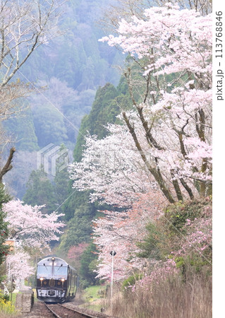 久大本線の桜とJR九州のクルーズトレイン・ななつ星in九州 久大本線の桜とJR九州のクルーズトレイン・ななつ星in九州 113768846