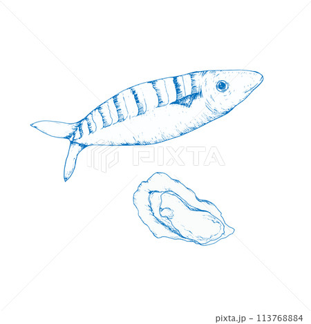 Seafood vector illustration. Ink line food illustration, fresh fish and shell for restaurant menu, cafe label,logo design 113768884