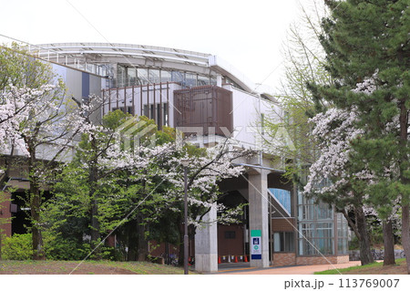春のしょうぶ沼公園と北綾瀬駅　  113769007