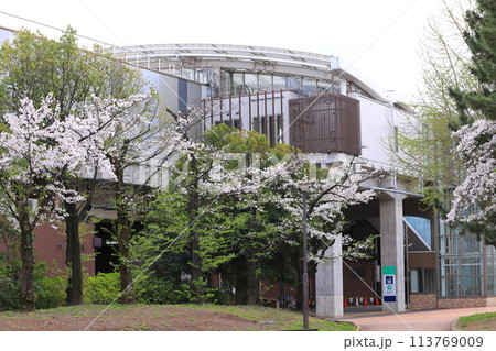 春のしょうぶ沼公園と北綾瀬駅 春のしょうぶ沼公園と北綾瀬駅 113769009