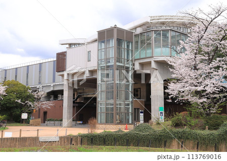 春のしょうぶ沼公園と北綾瀬駅　  113769016