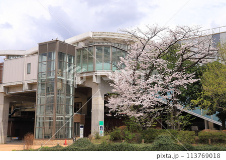 春のしょうぶ沼公園と北綾瀬駅 春のしょうぶ沼公園と北綾瀬駅 113769018