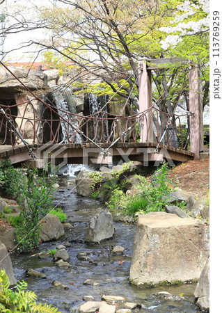 しょうぶ沼公園の「あやとり橋」と滝 113769259