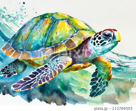 原画】ウミガメの旅立ち 原画】ウミガメの旅立ち 原画】ウミガメの旅立ち