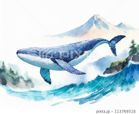 ピースフルクジラさんのイラスト原画◎ ピースフルクジラさんのイラスト原画◎
